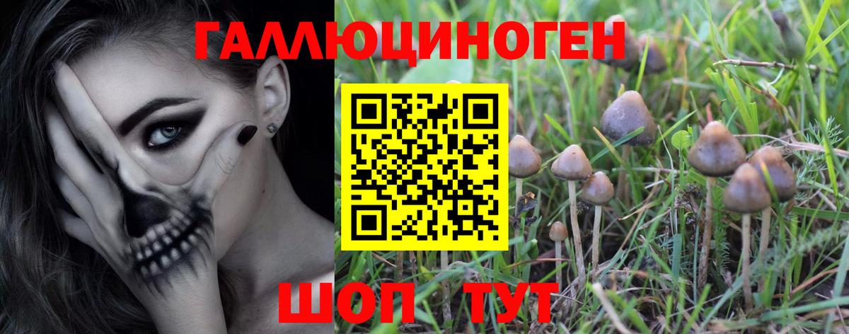 Галлюциногенные грибы мухоморы Дедовск
